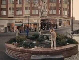 bi izleyin bakalım...