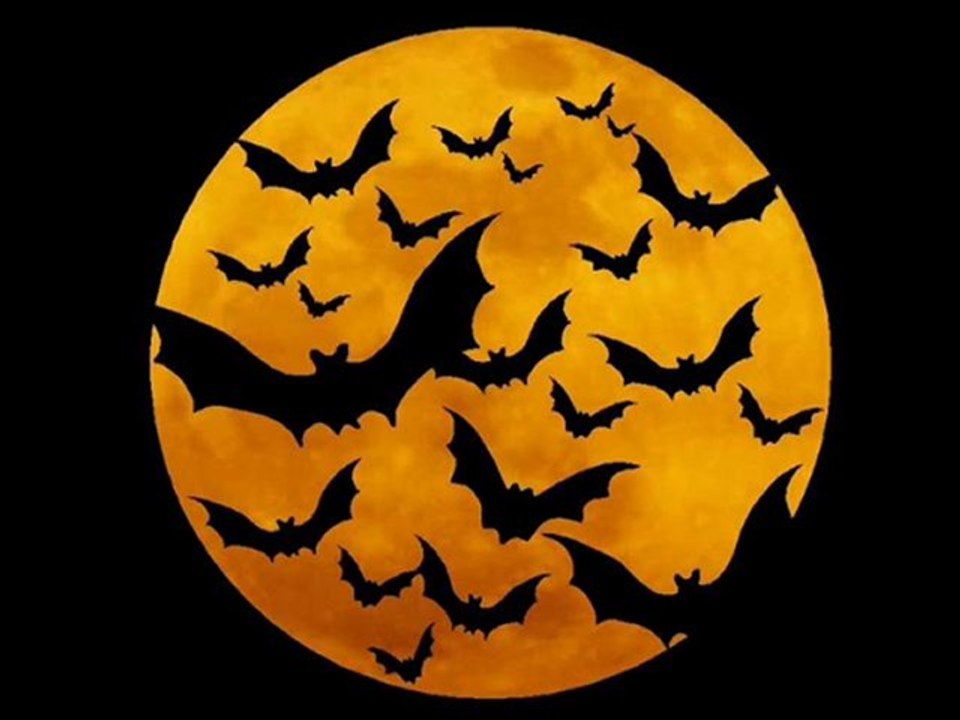 Vampire Diaries Season 2 Episode 8 Rose Trailor