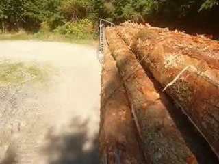 Hauling logs near the twin sisters.