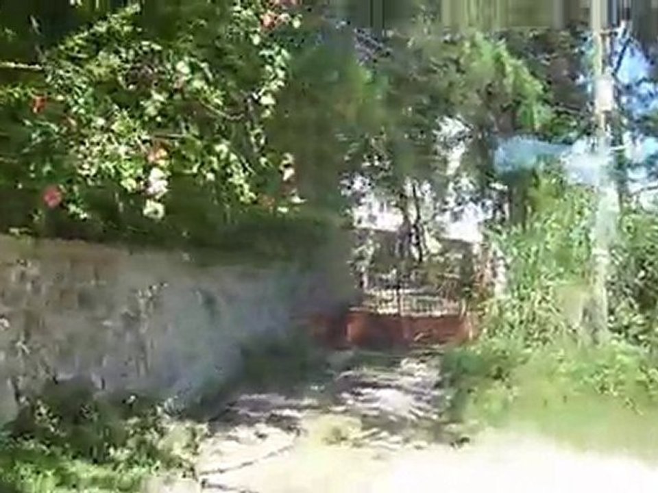 P1000425