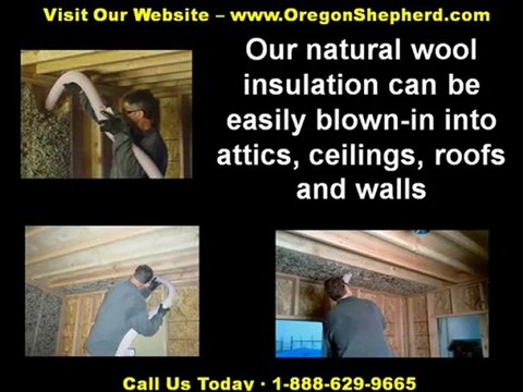 Attic Insulation, Roof Insulation, Call 888-629-9665