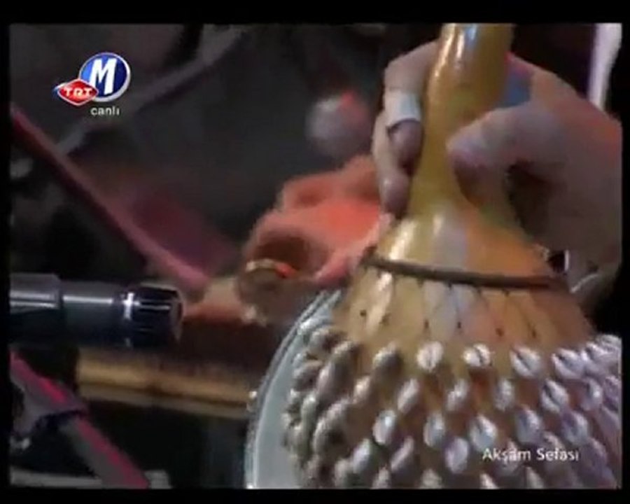 TUĞÇE PALA & MENEKŞELENDİ SULAR