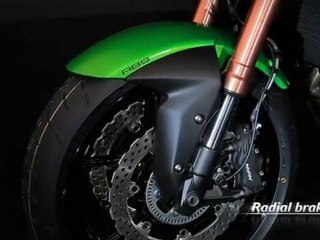 Kawasaki Z 750 R 2011 details