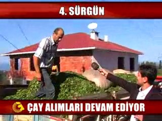 4 SÜRGÜN ÇAY ALIMLARI DEVAM EDİYOR.