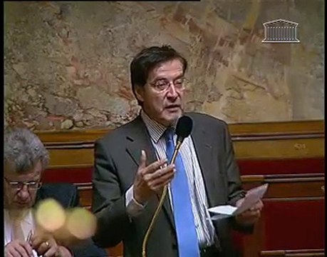 Pierre Alain Muet explication de vote sur le budget 2011