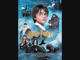 La vie de Harry Potter