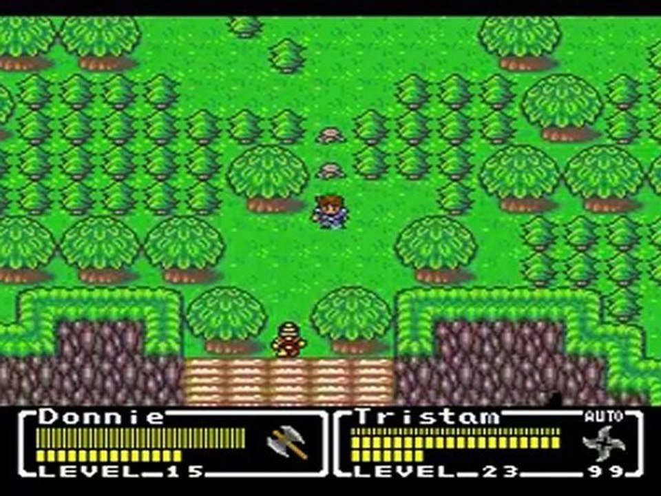 SNES Final Fantasy-MysticQuest in 1:49:20.0 by DonamerDragon