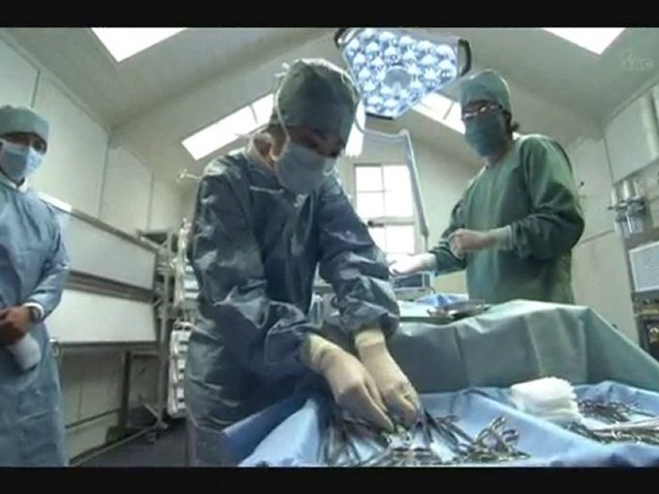 VETERINARIAN DOLITTLE02_1