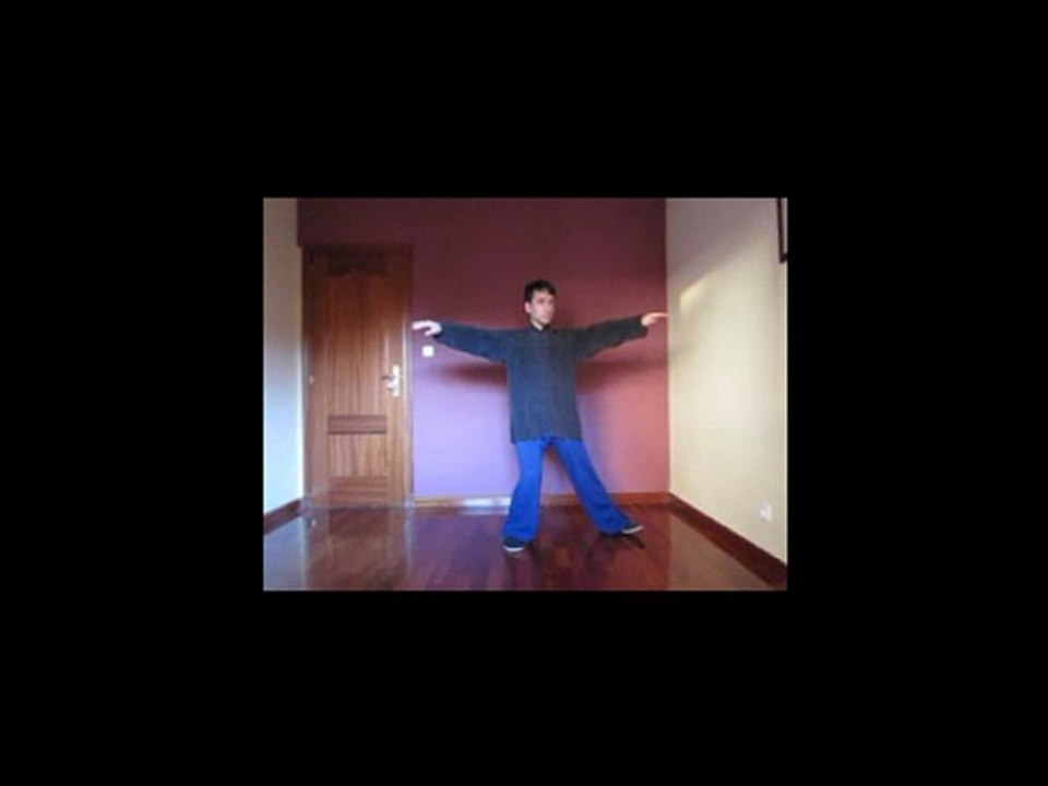 Tai chi Yang-Forma 88 del estilo Yang de tai chi-
