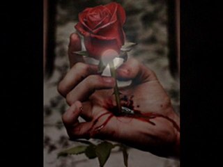 Aşkmıdır ki -Ali Oktay