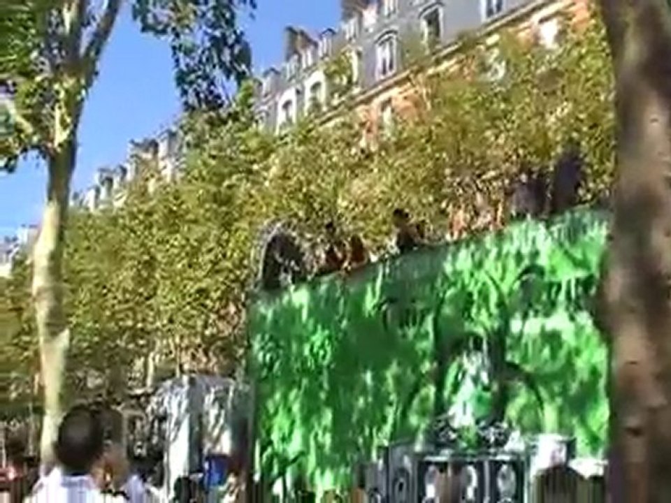 Techno parade 2009 @ Paris #1