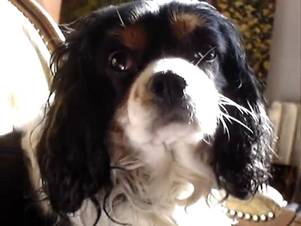 SOUVENIRS . TOUT PETITS- POILU - BALY