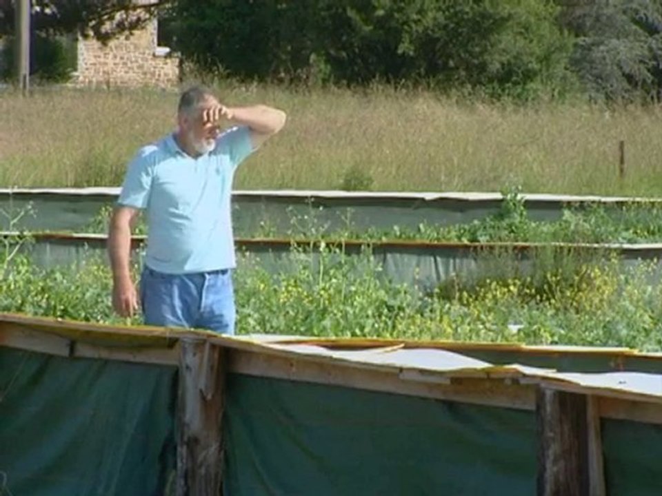 Reportage escargotière de Warnant