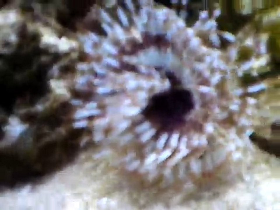 V261010_16.40