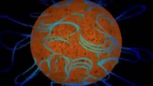 1.  El Sol   El Universo