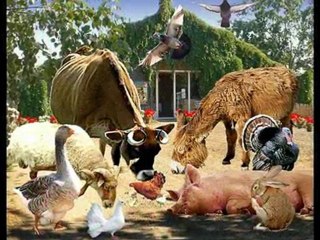 ♥Ferme du Bonheur♥.