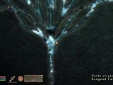 Oblivion HD - PC - Guilde des Mages 5