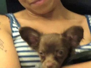 Lola Dreams - Number One Super Cutie Patootie 010 ...