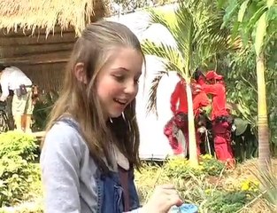 I am Not Getting No Diseases Today