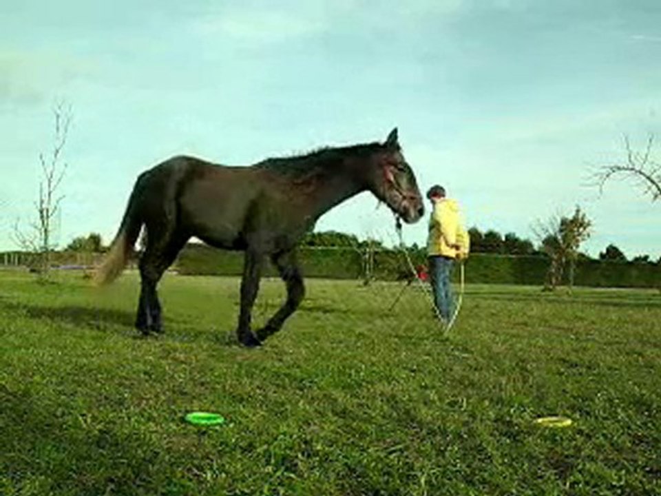 web ébauche jeu du cercle 10.10