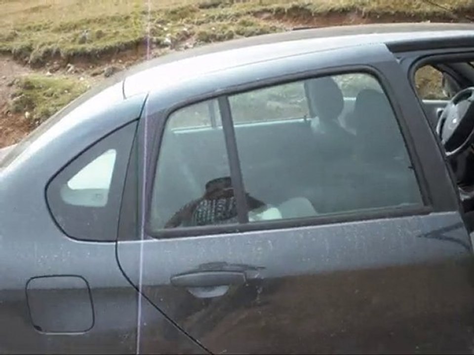 Güzel Yaylalar vardir Trabzonun baslarinda.