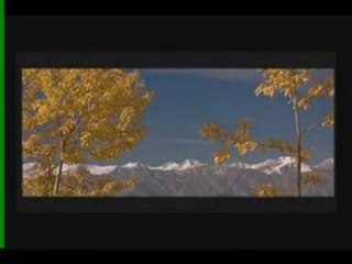 Ben senin beni sevebilme ihtimalini seviyordum