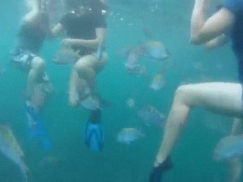 Snorkeling Los Arcos, Puerto Vallarta, Mexico