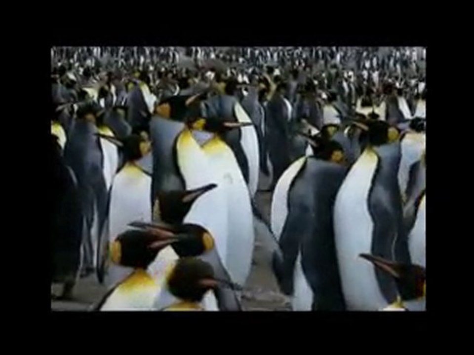 VPDA