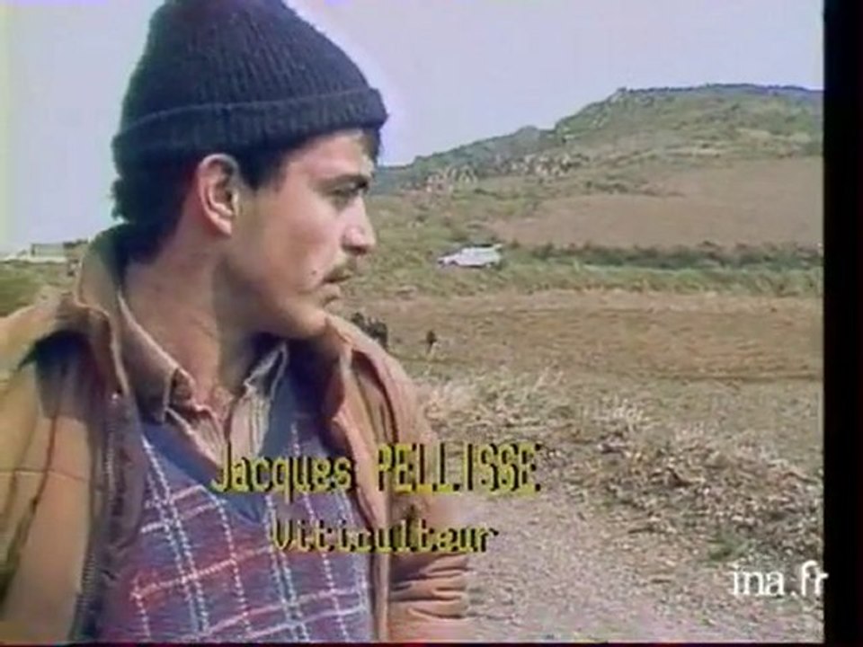 Pyrénées Orientales : nouveaux cépages Banyuls