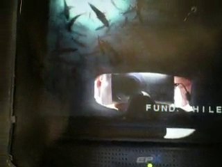 Vue sous marine d'un élevage de Corvinas