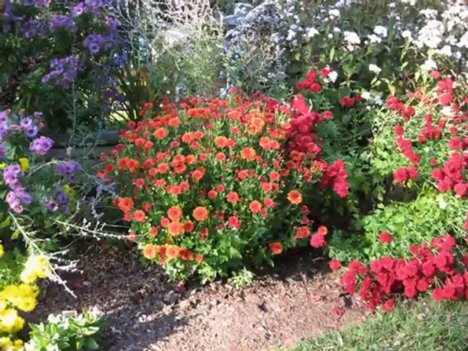 WHEN FLOWERS BLOOM IN SPRING