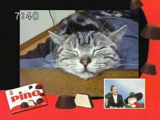 sakusaku 060328 カエラ最終週 青春パソコンドラマ ブラインドタッチ 2/4