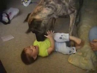 Köpeğin Çocuğa Olan Sevgisi - dog love