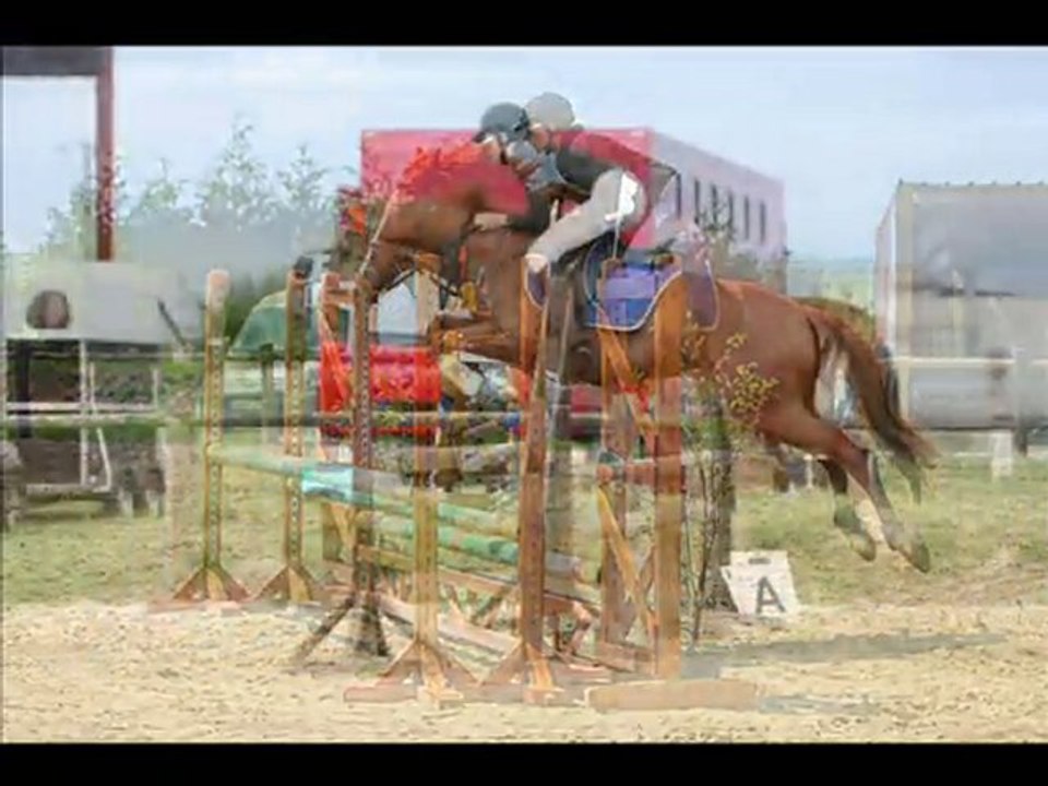 saison de concours 2010