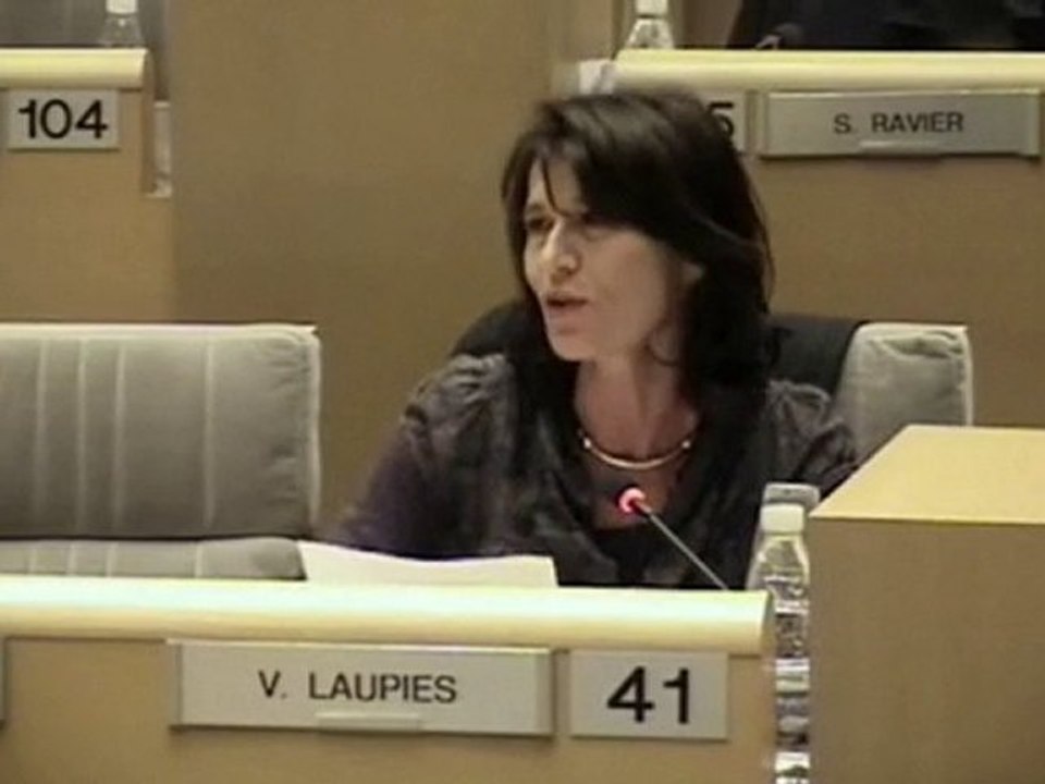 22/10/10 Assemblée plénière / région PACA Valérie Laupies FN