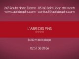 CAMPING L'ABRIS DES PINS**** - SAINT-JEAN DE MONTS - VENDEE