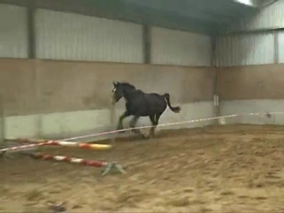 Piksala 4 ans par Pik Solo