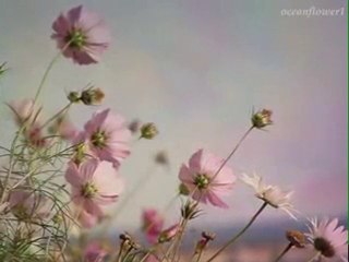 Bertolt Brecht - sevgililer