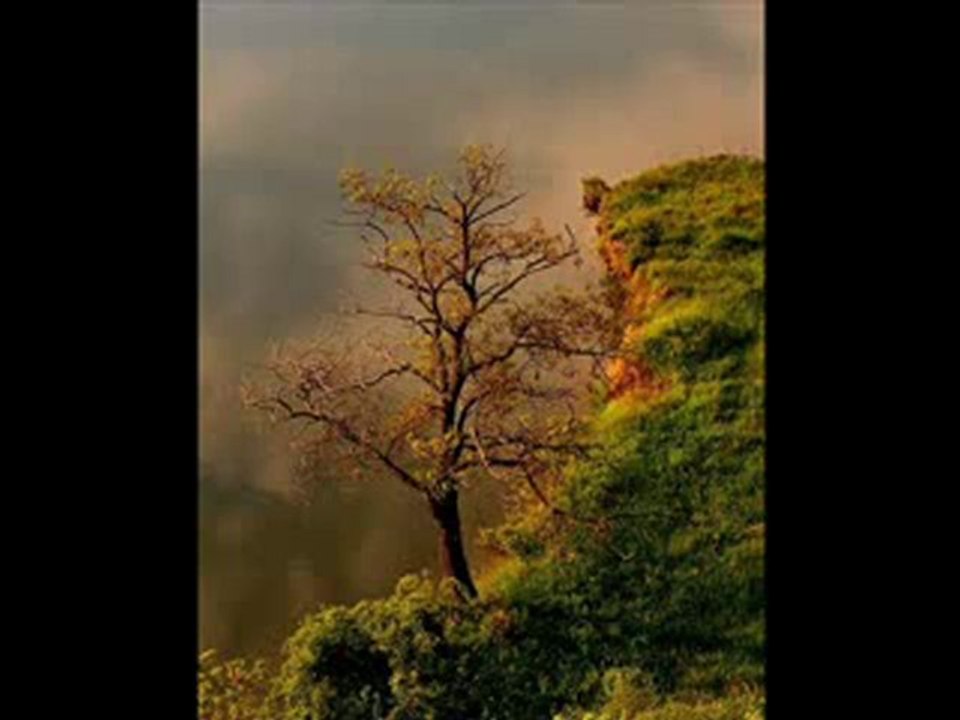 Çağrı Film Müziği