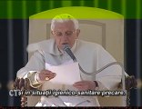 Papa: Mă rog pentru Indonezia şi Benin