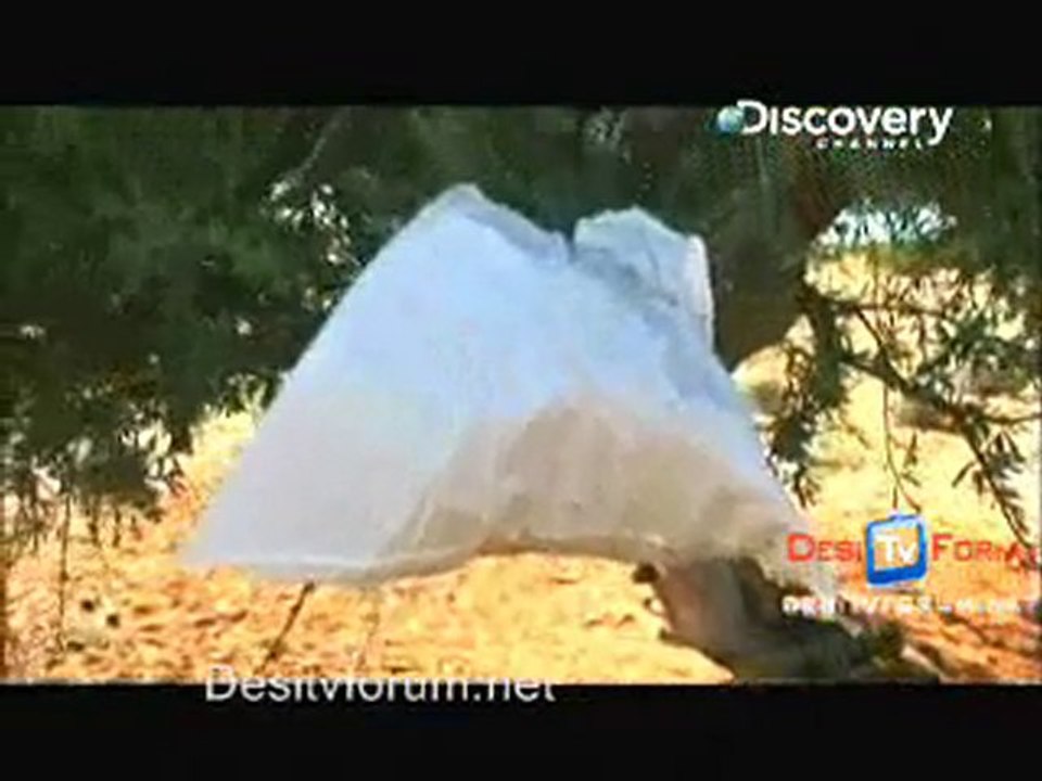 Survivorman - 28th October 2010 Part6