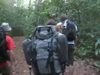 Une vie de chien en randonnée