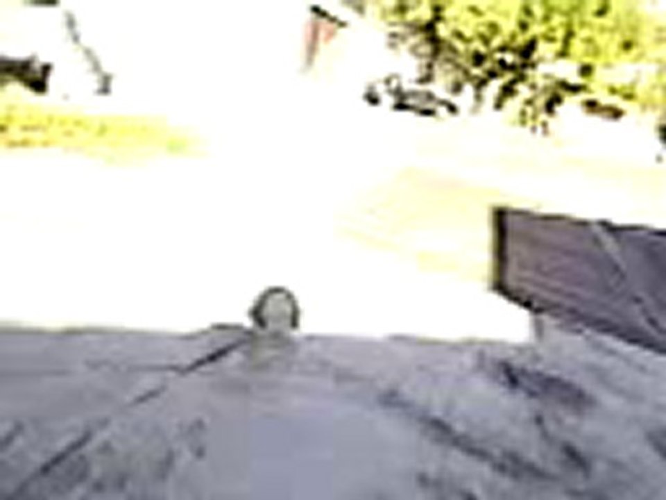 skate parie 2