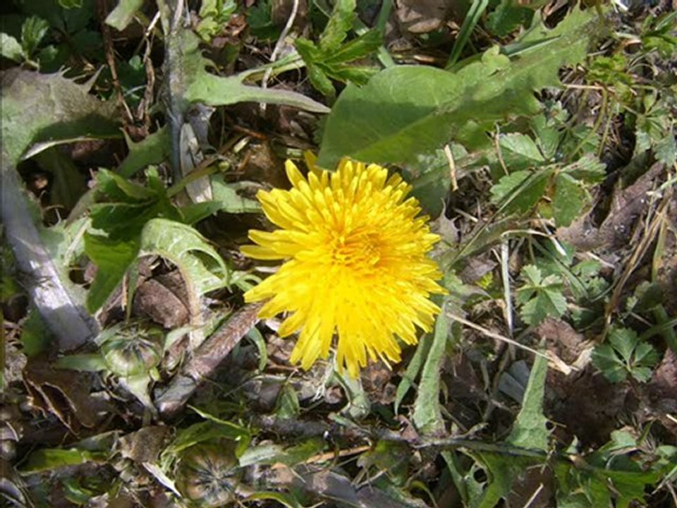 onur akın ahım kalacak