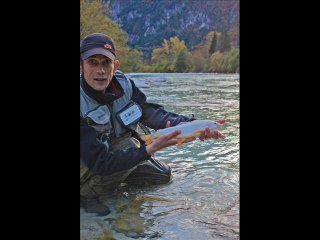 Slovenie 2010 ,   Rivière SOCA