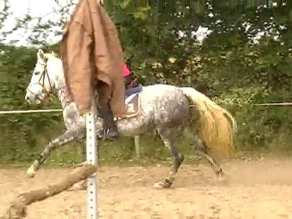 Siobhan du Gayin Anne-So