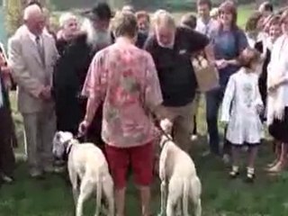 2-Bénédiction des animaux par le Père Samuel