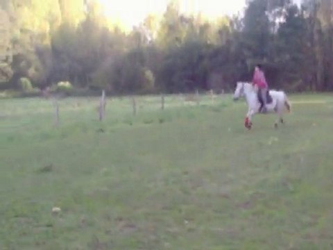 maria sur ma jument 50 cm cso