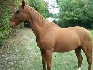 video-2010-10-28-13-39-31