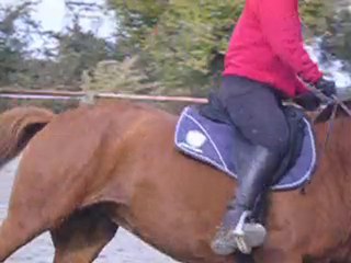 Suzon - séance du 28.10.10